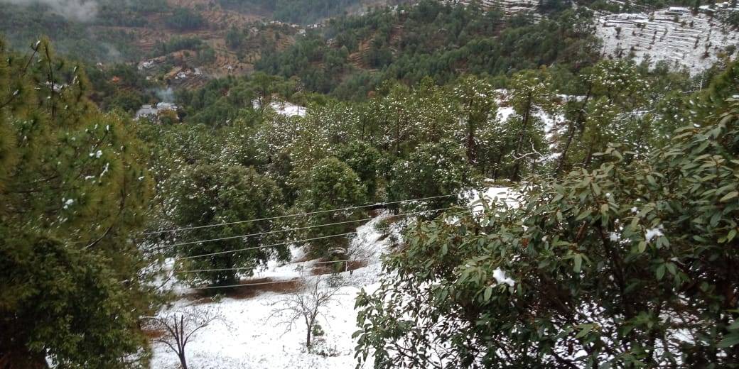 Photo of Others in Almora