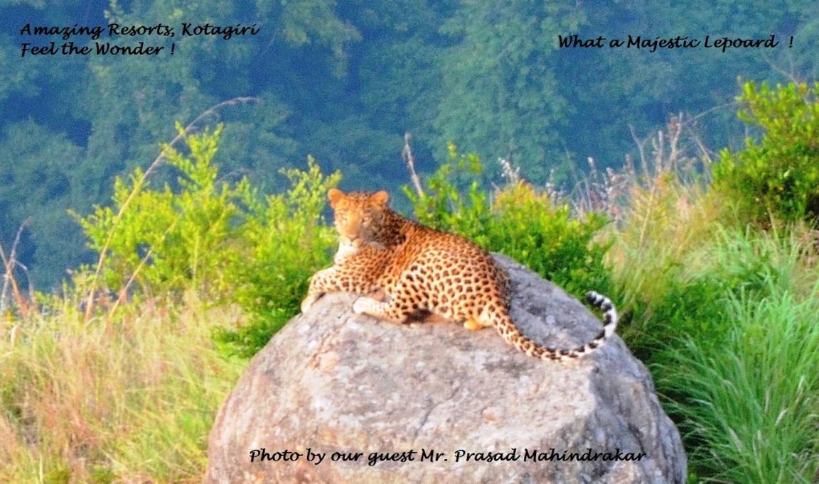 Photo of Others in Kotagiri