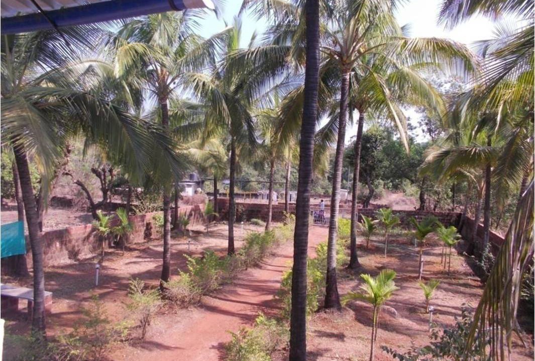 Photo of Others in Chiplun