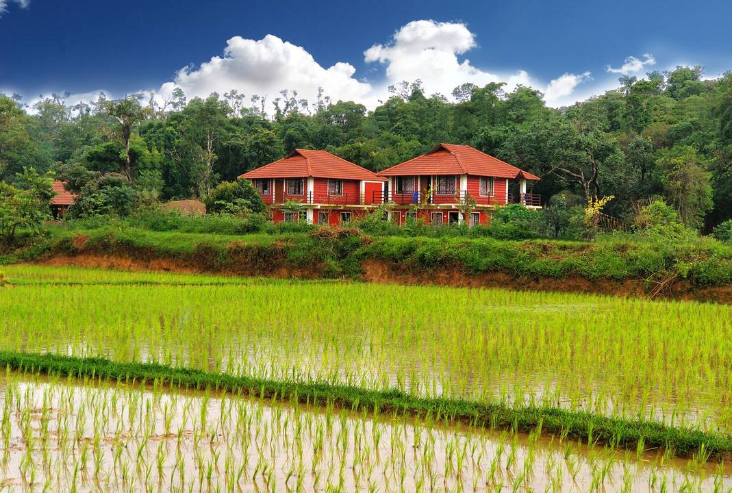 Photo of Others in Sakleshpur