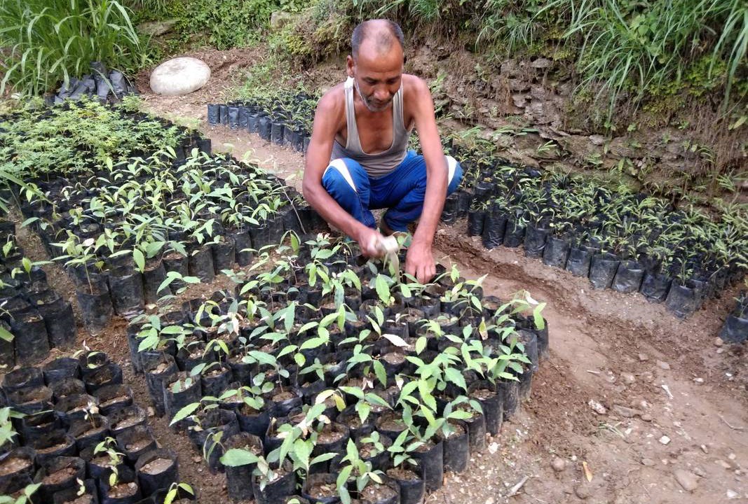 Photo of Others in Ukhimath