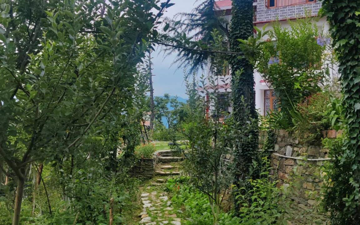 Photo of Others in Shimla