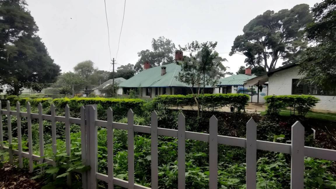 Photo of Others in Suryanelli