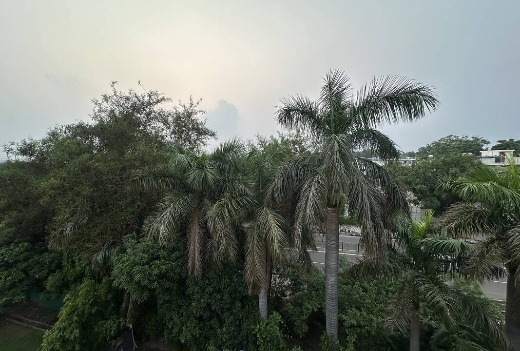 Photo of Others in Mohali