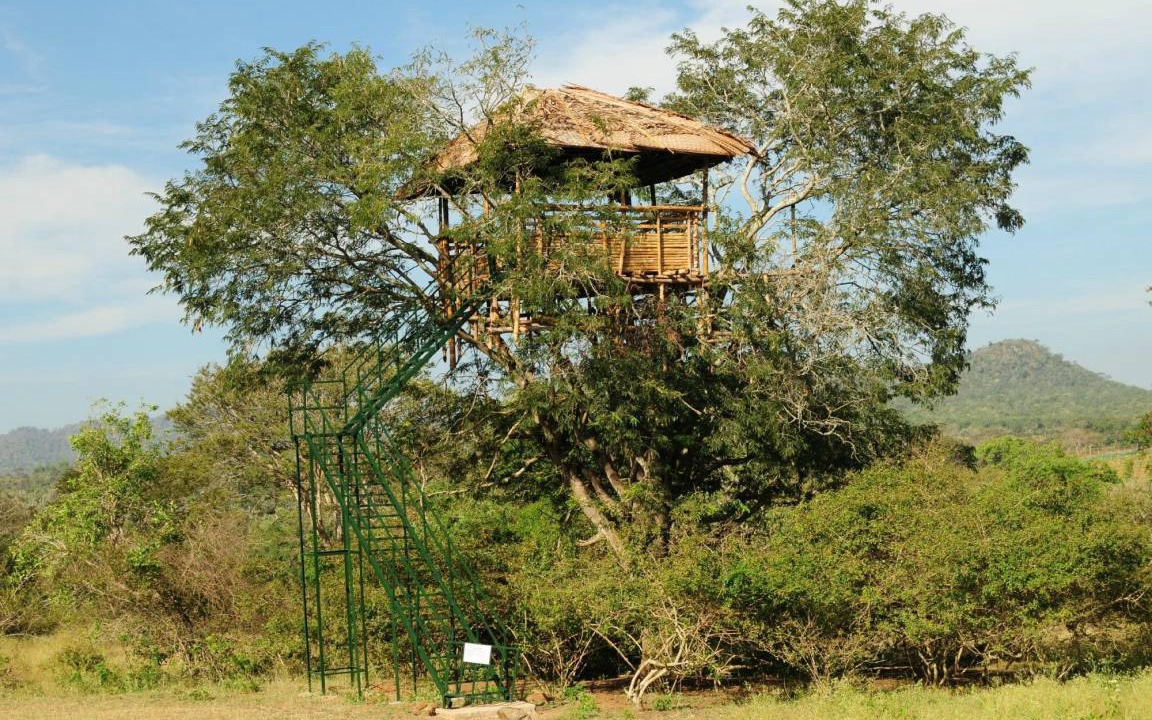 Photo of Others in Masinagudi