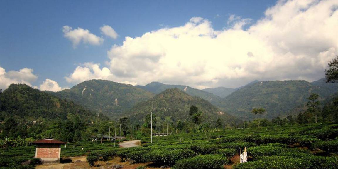 Photo of Others in Kalimpong