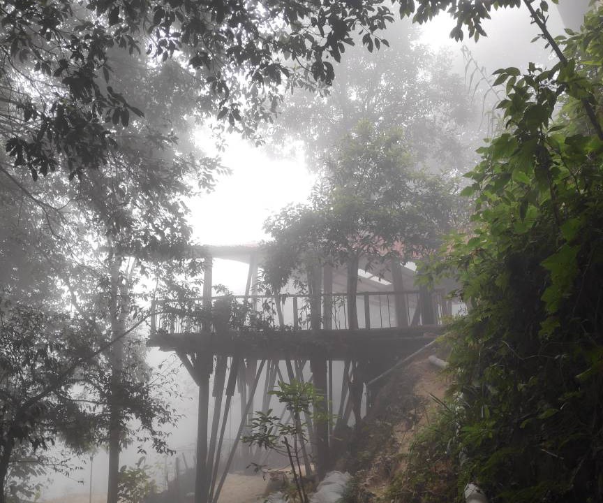 Photo of Others in Darjeeling