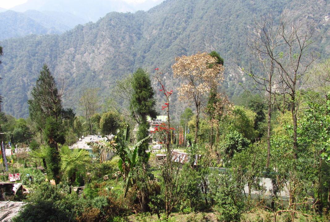 Photo of Others in Singhik