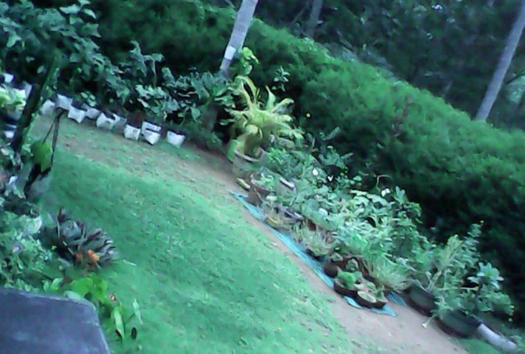 Photo of Others in Perintalmanna
