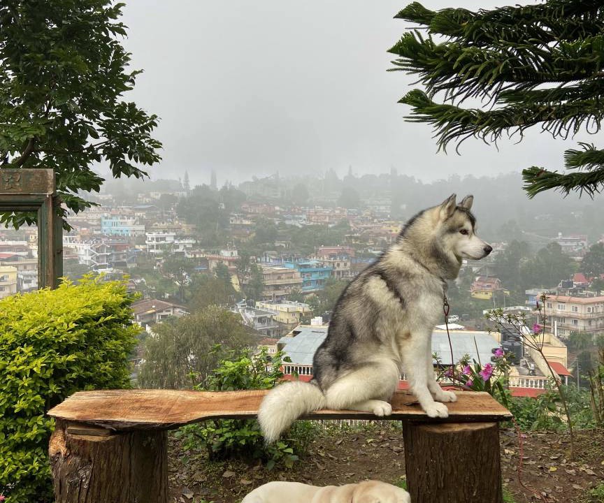 Photo of Others in Coonoor