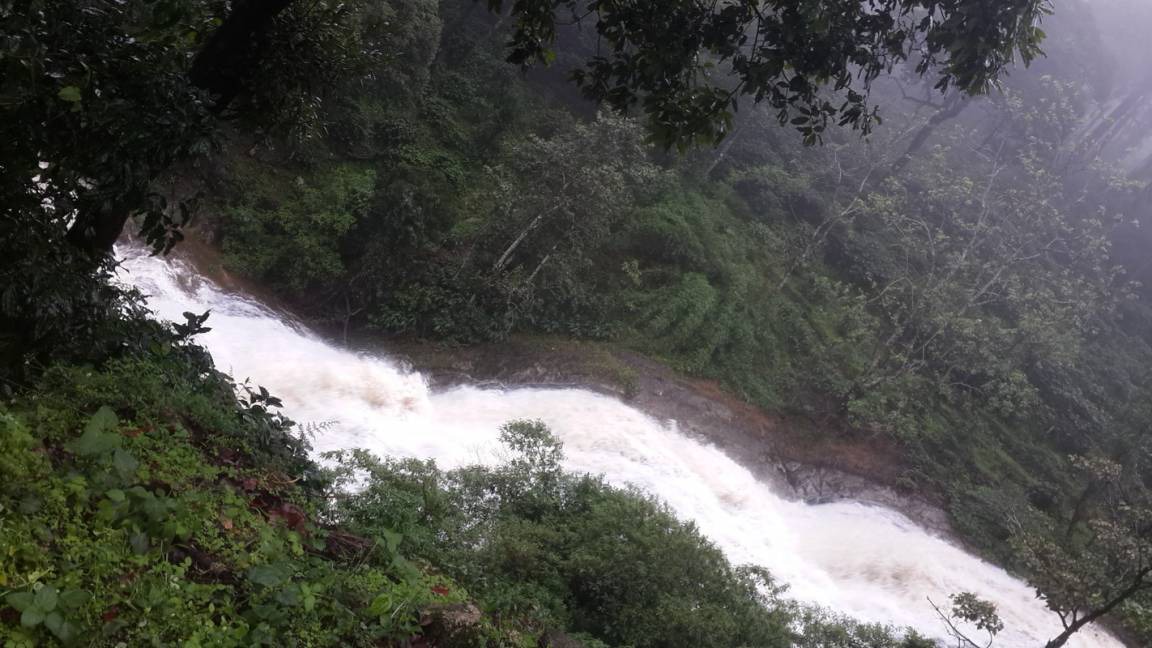 Photo of Others in Valparai