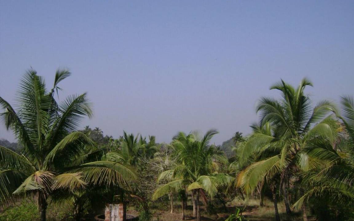 Photo of Others in Ganpatipule