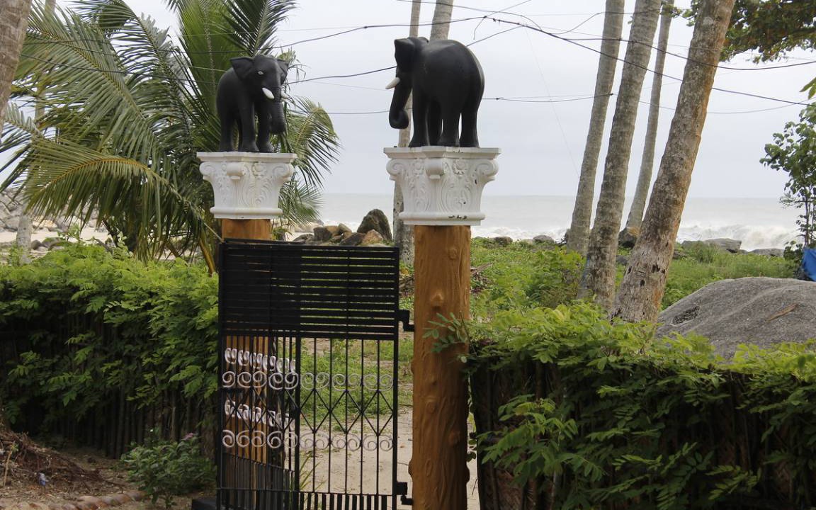 Photo of Others in Mararikkulam North