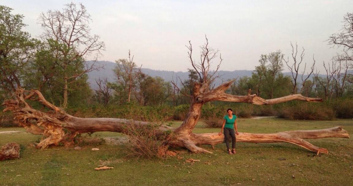Photo of Others in Tehri