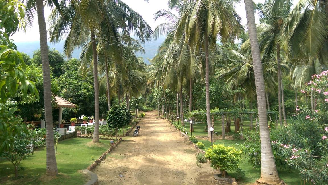 Photo of Others in Chittur