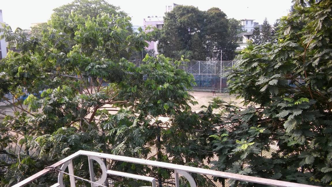 Photo of Others in New Alipore