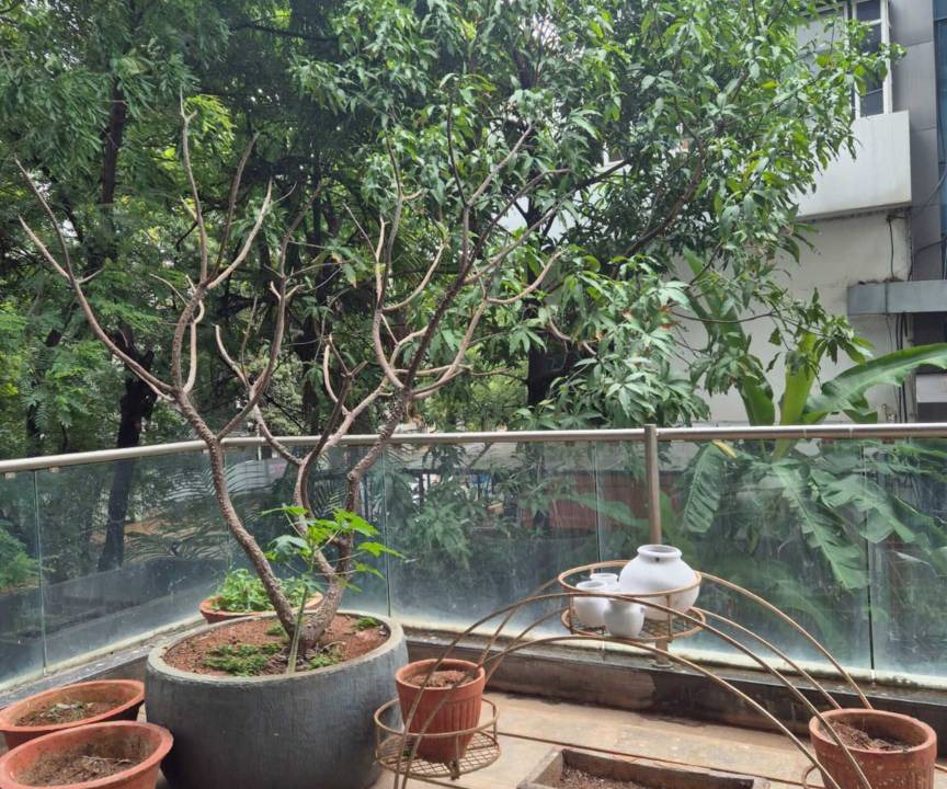 Photo of Others in Pune