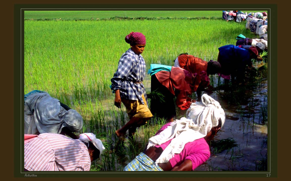 Photo of Others in Alattur