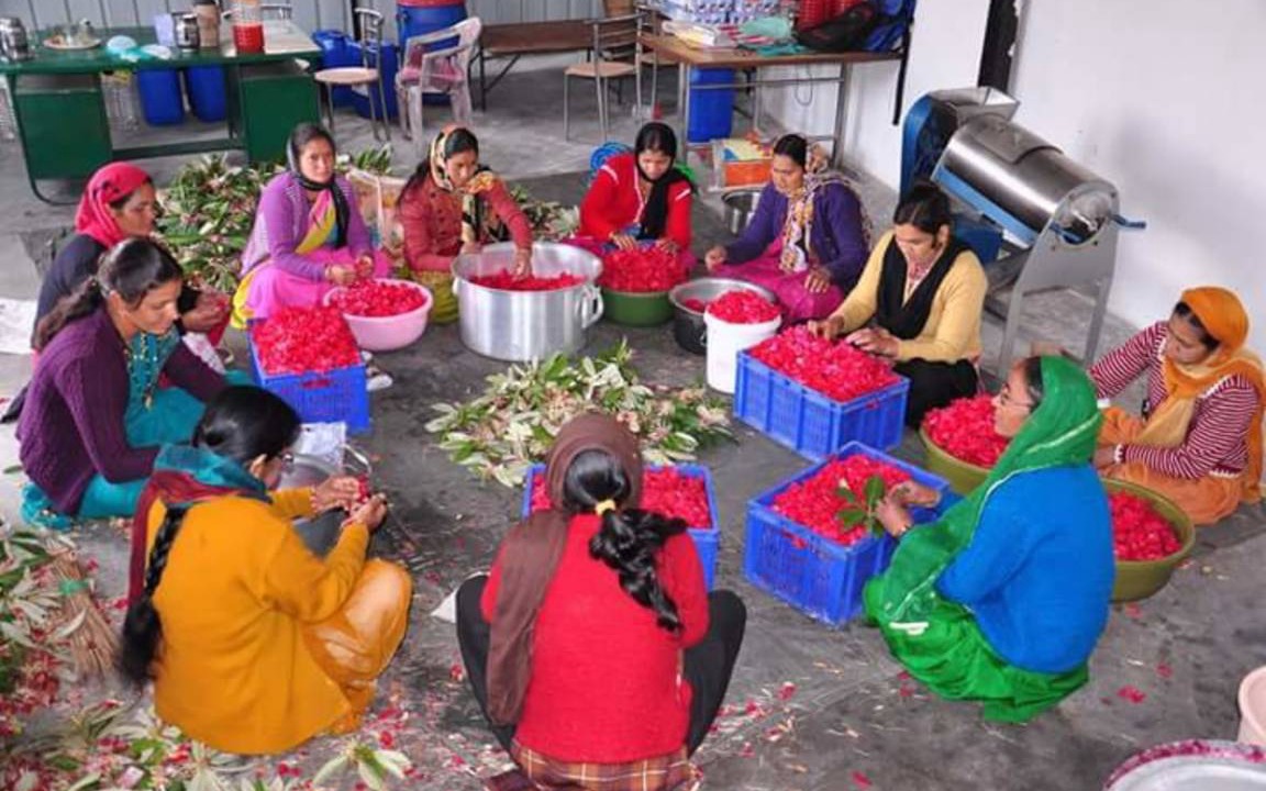 Photo of Others in Ukhimath