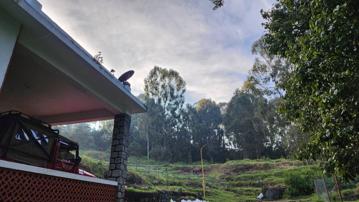 Photo of Others in Kodaikanal