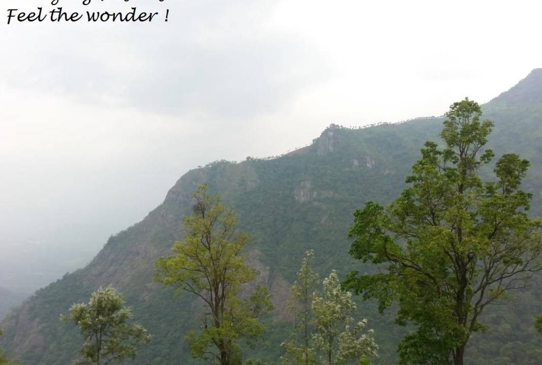 Photo of Others in Kotagiri