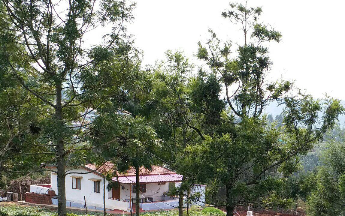 Photo of Others in Masinagudi