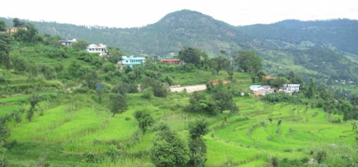 Photo of Others in Vijaypur