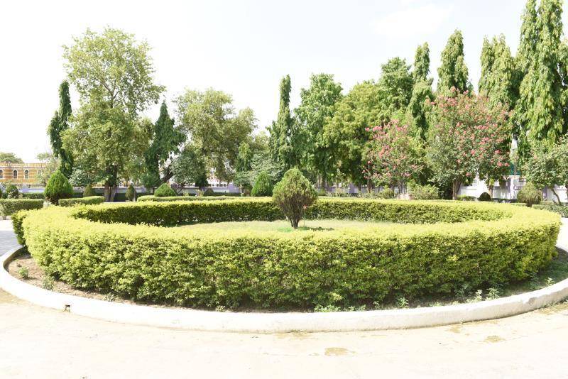 Photo of Others in Bodh Gaya