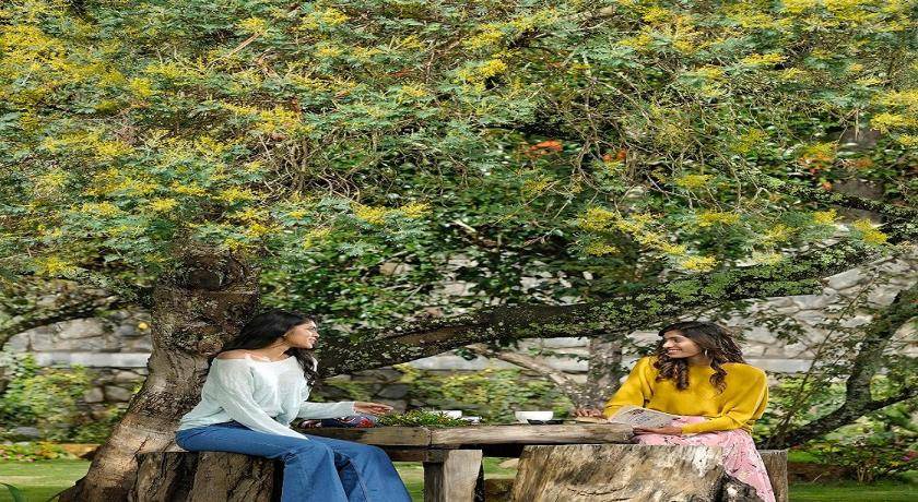 Photo of Others in Kodaikanal
