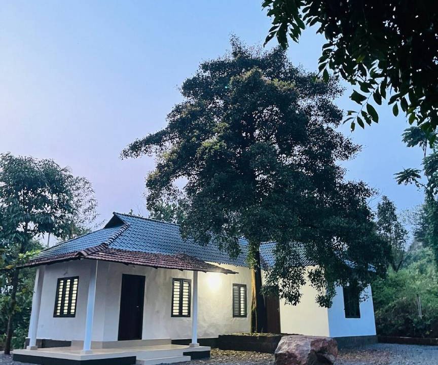 Photo of Others in Talipparamba