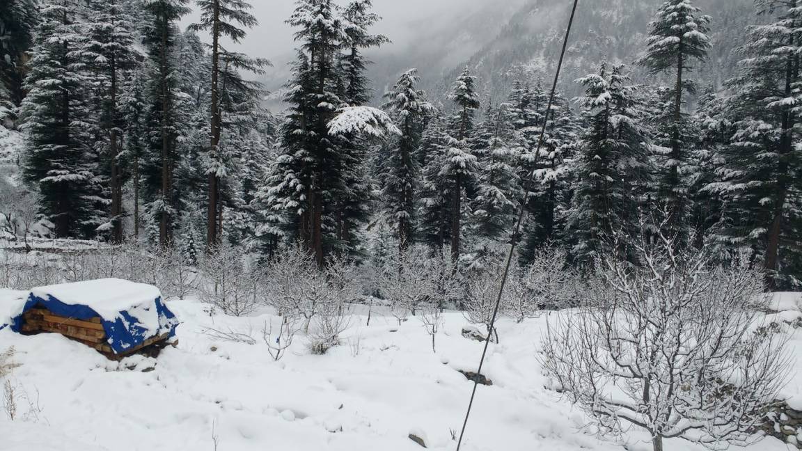Photo of Others in Sangla