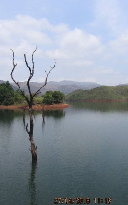 Photo of Others in Kalasa