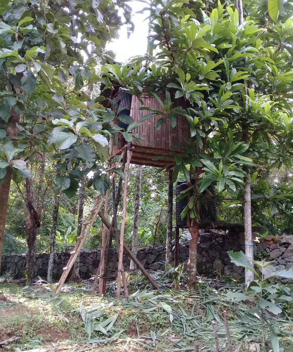 Photo of Others in Palakkad