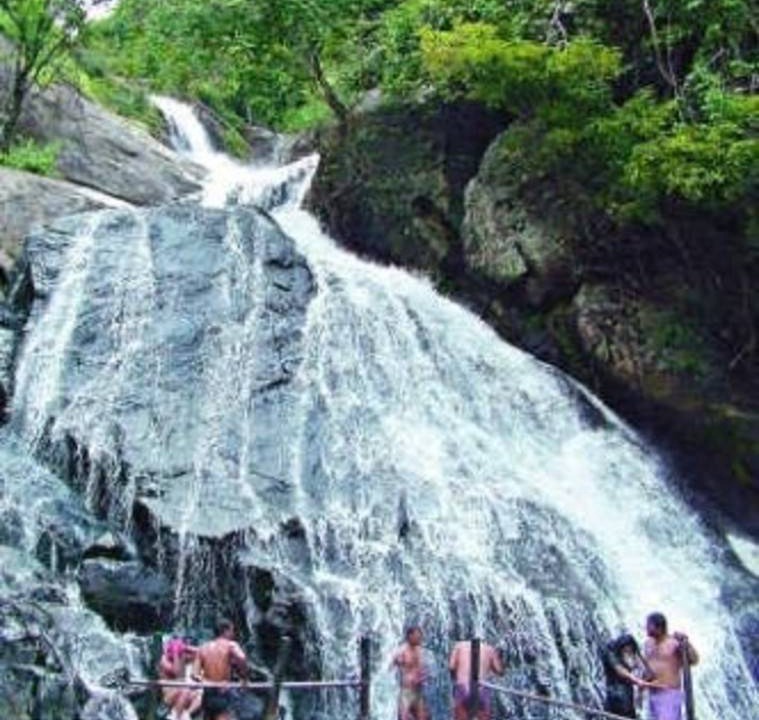 Photo of Others in Valparai
