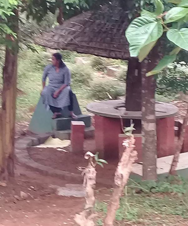 Photo of Others in Palakkad
