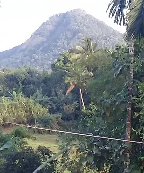 Photo of Others in Palakkad