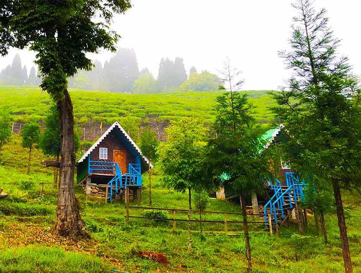 Photo of Others in Darjeeling