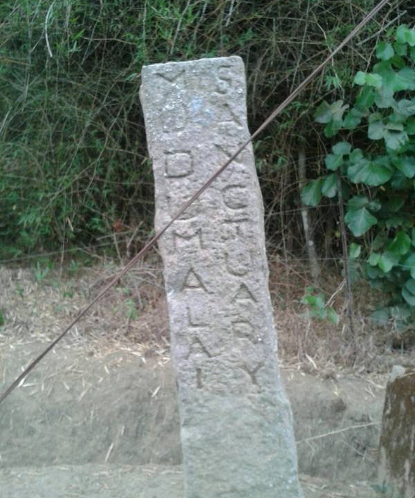 Photo of Others in Naduvattam