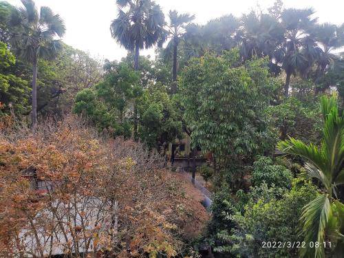 Photo of Others in Santiniketan