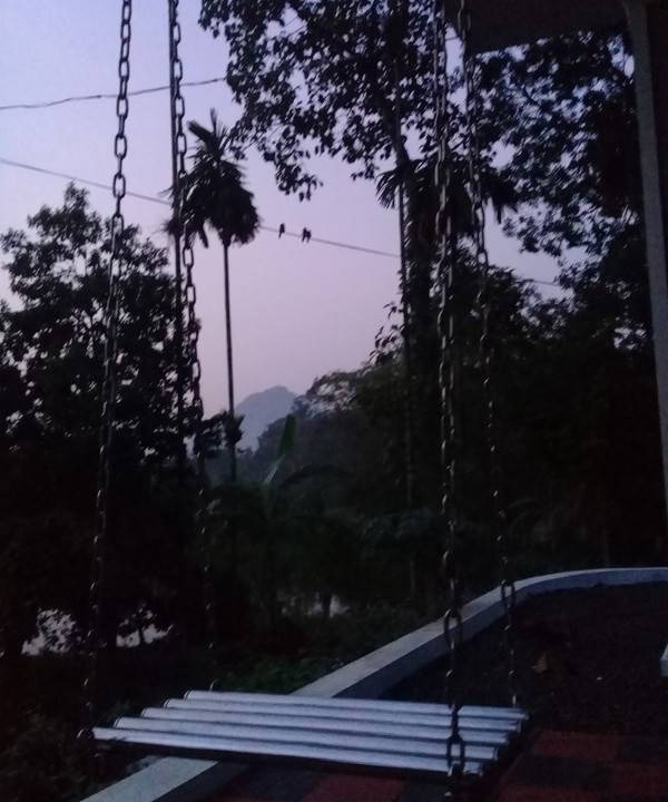 Photo of Others in Palakkad