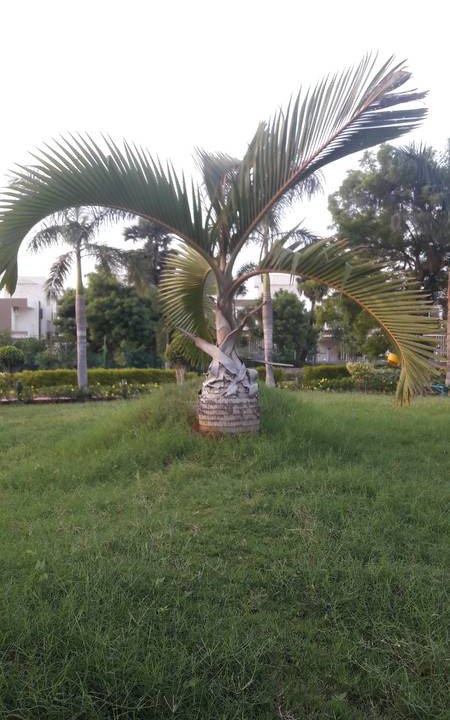 Photo of Others in Chengalpattu