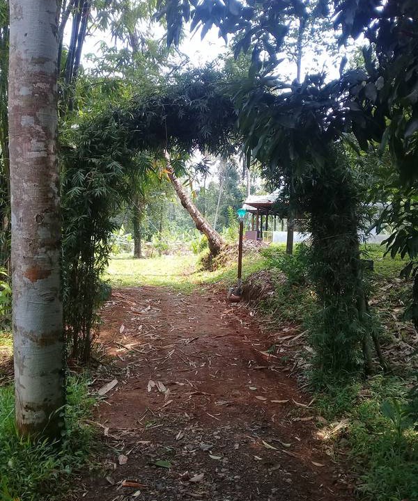Photo of Others in Palakkad