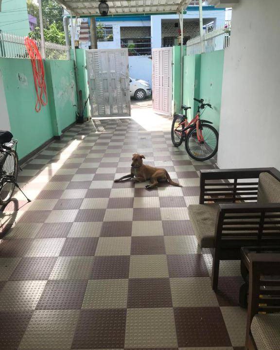 Photo of Others in Clement Town