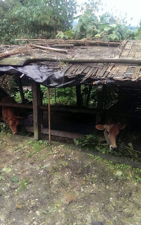 Photo of Others in Pelling