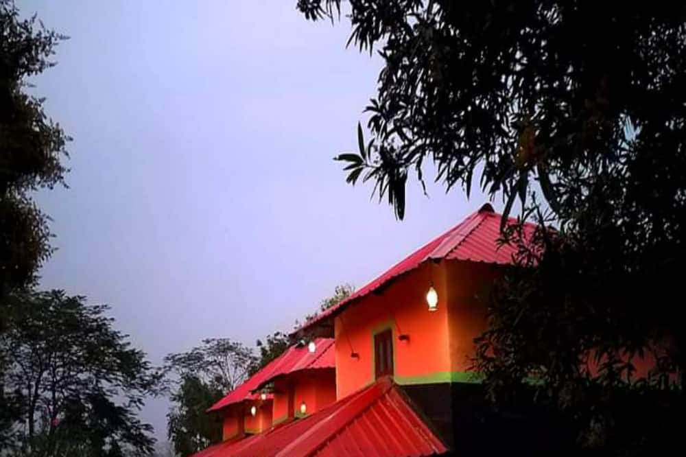 Photo of Bedroom in Ilam Bazar