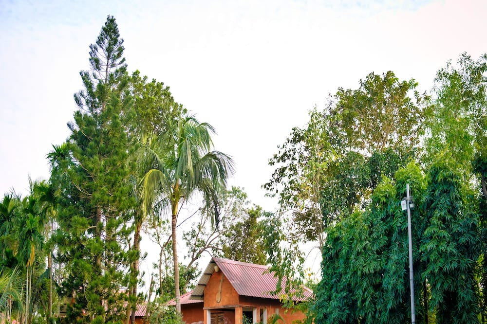 Photo of Bedroom in Ilam Bazar