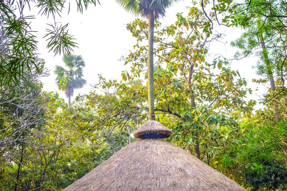 Photo of Outdoor in Ilam Bazar