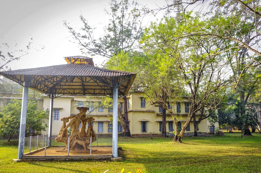 Photo of Outdoor in Ilam Bazar