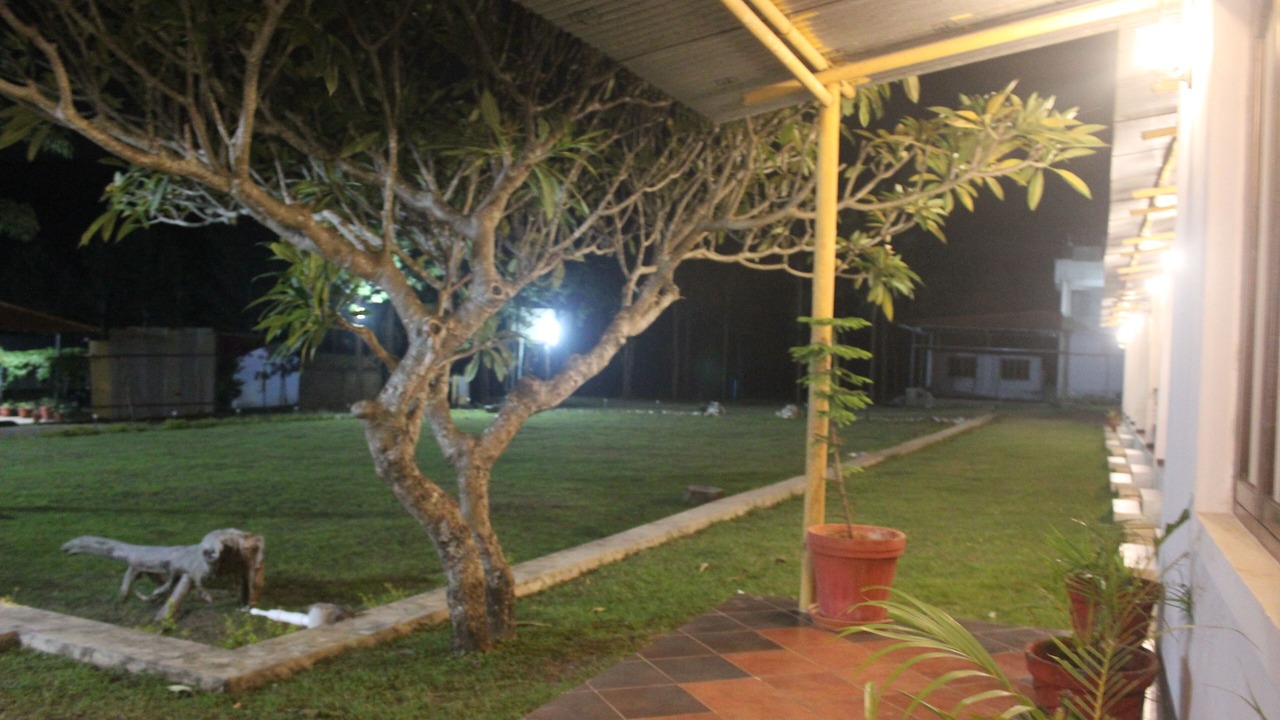 Photo of Outdoor in Masinagudi