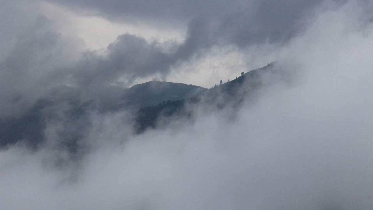 Photo of Others in Dhanaulti